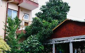 Rosemary Pansiyon Apart Bed & Breakfast Cirali Exterior photo