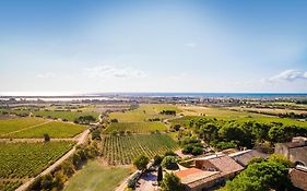 Chateau Le Bouis Bed & Breakfast Gruissan Exterior photo