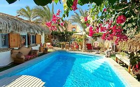 Surfers-Lounge-Dahab Lagoon With Swimming-Pool - Breakfast - Garden - Beduintent - Bbq - Jacuzzi Apartment Exterior photo