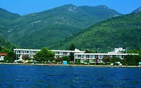 Hotel Kamelija Tivat Exterior photo