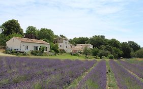 Les Anes De Forcalquier Hotel Exterior photo