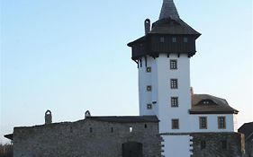 Penzion Hrad Hotel Frydek-Mistek Exterior photo