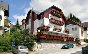 Pension Alba Hotel Spindleruv Mlyn Exterior photo