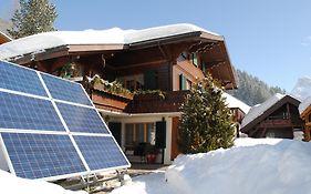 Apartment Nadeschda Adelboden Exterior photo