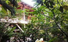 Sanpopo Tree Top Cottage San Ignacio Exterior photo