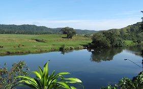 Daintree Riverview Lodges Exterior photo