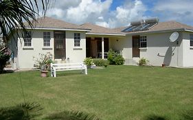 Gemini House Bed & Breakfast Bed & Breakfast Christ Church Exterior photo