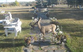 Wakamow Heights Bed And Breakfast Moose Jaw Exterior photo