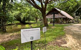 Ambong Rainforest Retreat Villa Pantai Cenang  Exterior photo