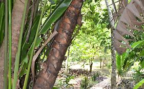 Iguana Roost Tourism Gold Standard Fully Equipped Two Bedroom Cabin San Ignacio Exterior photo