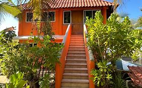 Bungalows Tree Tops - Adults Only Zihuatanejo Exterior photo