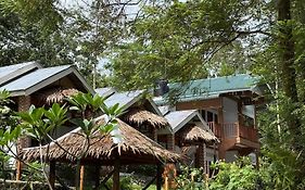 Asim Paris Guesthouse & Jungle Trekking Bukit Lawang Exterior photo