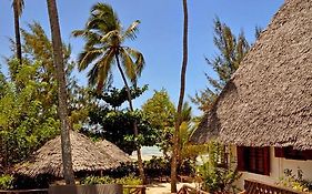 Kipepeo Lodge Zanzibar Jambiani  Room photo