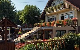 Sarokhaz Panzio Bed & Breakfast Vecses Exterior photo