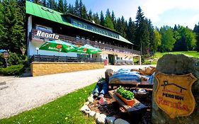 Pension Renata Hotel Harrachov Exterior photo