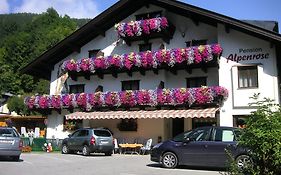 Pension Alpenrose Hotel Zell am See Exterior photo