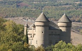 Chateau De Lugagnac Hotel Riviere-sur-Tarn Exterior photo