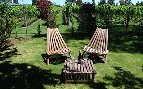 Villa In The Vines Martinborough Exterior photo