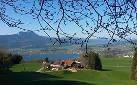 Bio Gesundheitshof Daxinger Villa Mondsee Exterior photo