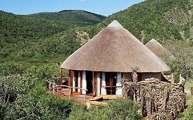 Nguni River Lodge Port Elizabeth Exterior photo