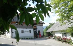 Ortnerhof Ennstal Bed & Breakfast Aigen im Ennstal Exterior photo