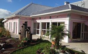 L'Echelle Bed & Breakfast La Plaine des Palmistes Exterior photo