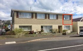 Big & Bright Guest House Dunedin Exterior photo