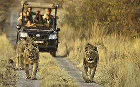 Morokolo Safari Lodge Self-Catering Pilanesberg Exterior photo