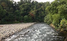 Waterstone Guesthouse Bukit Lawang Exterior photo