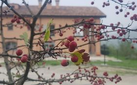 Agriturismo Ben Ti Voglio Villa Bologna Exterior photo