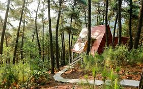 Cat Ba Eco Lodge Resort Hien Hao Exterior photo