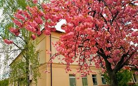 Mini-Hotel Na Pidgradskiy Uzhhorod Exterior photo