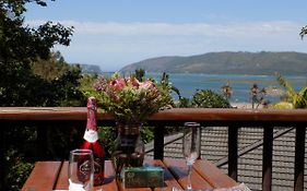 Protea Guest House Knysna Exterior photo