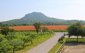 Gyulavezer Lovasbirodalma Bed & Breakfast Gyulakeszi Exterior photo