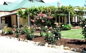 The Vintage Bed & Breakfast Bed & Breakfast Mclaren Vale Exterior photo