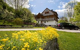 Apartments Mlin Bohinj Exterior photo