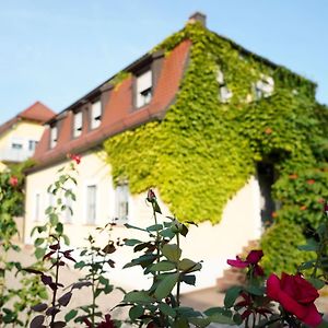 Weingut Martin Blass Hotel Erlabrunn  Exterior photo