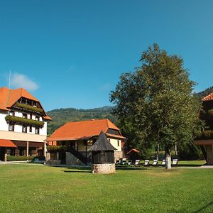 Villa Gherman Salciua de Jos Exterior photo