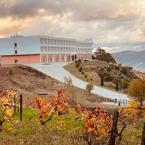 Placido Hotel Douro - Tabuaco Exterior photo