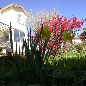 L'Agapanthe Bed & Breakfast Conques-sur-Orbiel Exterior photo