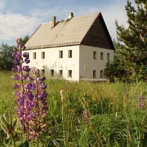 Chata Krusnohorka Villa Kovarska Exterior photo