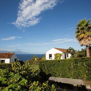 Jardim Do Triangulo - Alojamento Local Bed & Breakfast Manadas Exterior photo