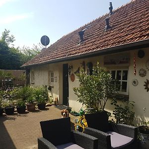 De Boerebeemd Bed & Breakfast Lieshout Exterior photo