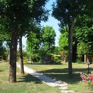 B&B La Vigna Di Federico Rubano Exterior photo