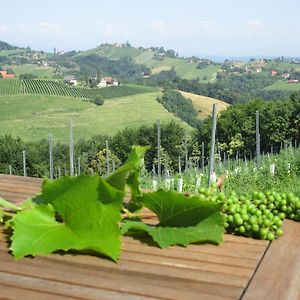 Gaeste- Und Vitalhaus Sauer Bed & Breakfast Kitzeck im Sausal Exterior photo