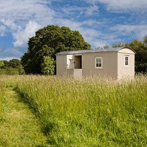 Romantic Secluded Shepherd Hut Hares Rest Villa Southwick  Exterior photo