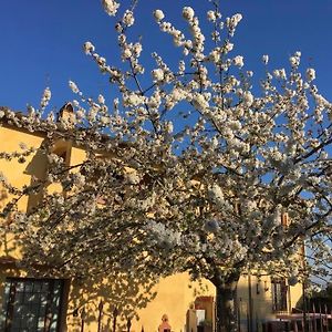 La Loggia Del Ciliegio In Chianti Bed & Breakfast Montespertoli Exterior photo