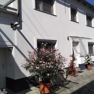 Ferienhaus Fam. Bisgen Apartment Niederkirchen bei Deidesheim Exterior photo