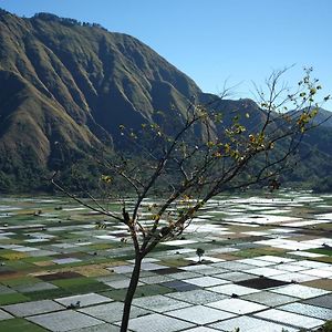 Rinjani Green Park Syariah Hotel Sembalunlawang Exterior photo