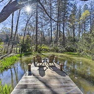 Peaceful Grass Valley Cottage With Bbq Grill And Yard! Exterior photo